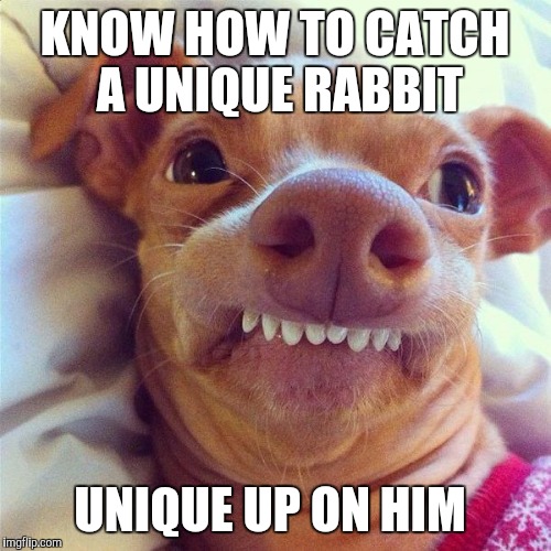 pheven Memes & GIFs Imgflip
