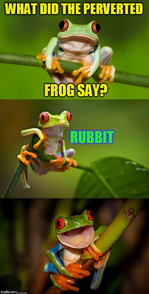 Frog Puns Imgflip