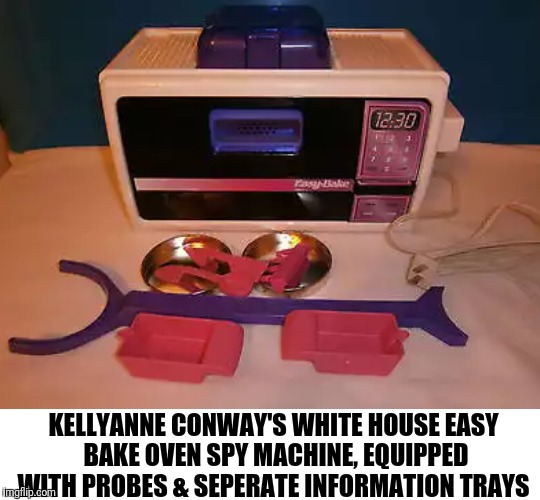 Image tagged in kellyanne conway Imgflip