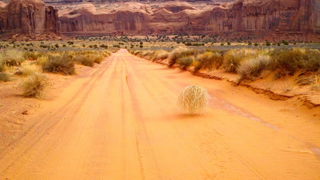Desert Tumbleweed Blank Template Imgflip Desert Tumbleweed Blank Template Imgflip