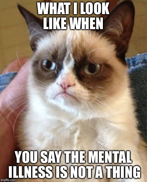 Grumpy Cat Meme Imgflip