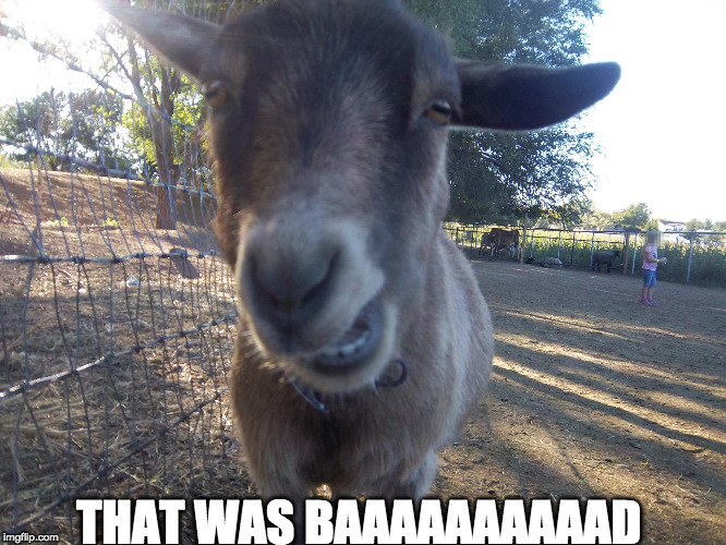 Image tagged in goat Imgflip