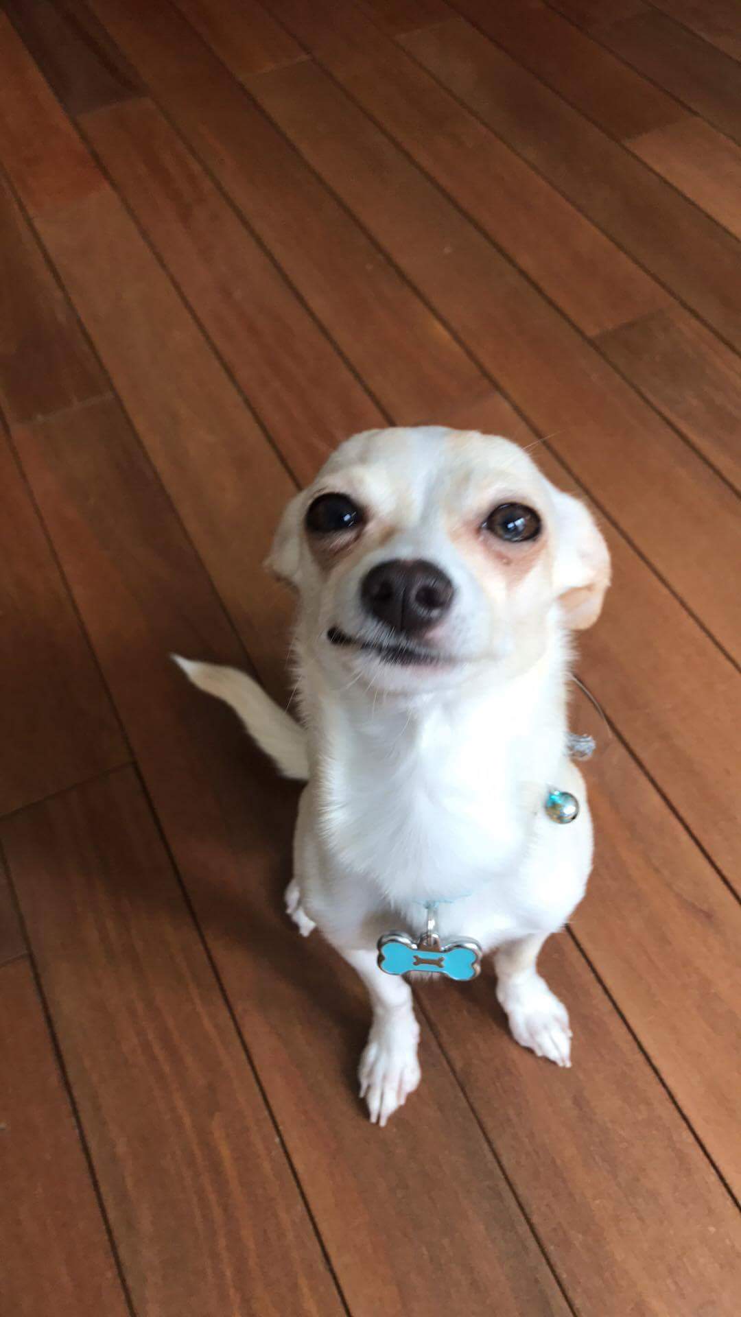 "smirk" Meme Templates Imgflip