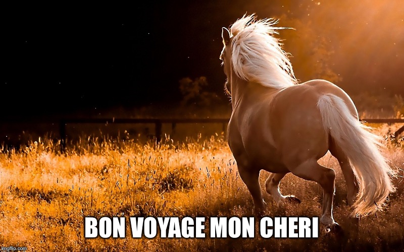 Bon Voyage Imgflip