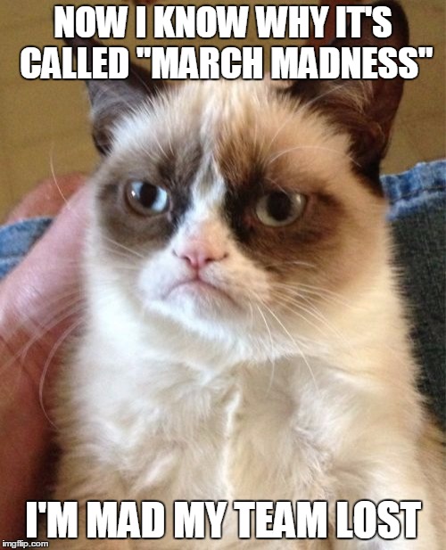 Grumpy Cat Meme Imgflip
