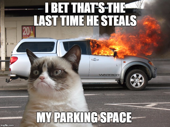 Grumpy Cat Fire Car Imgflip