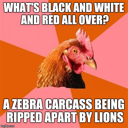 Anti Joke Chicken Meme Imgflip