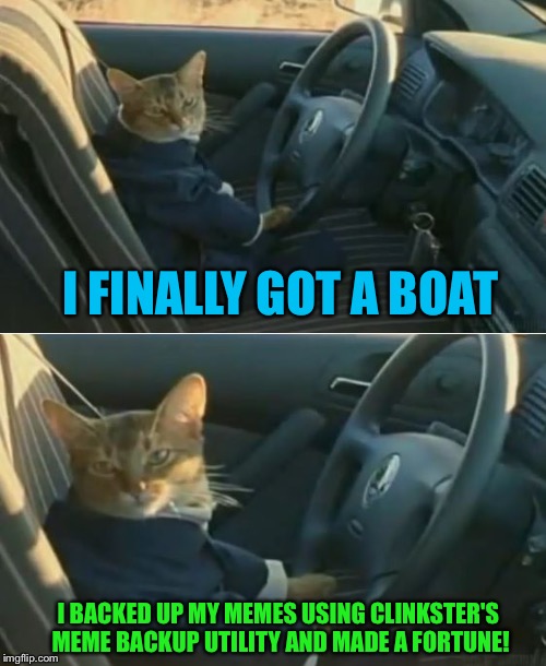 Boat Cat in Car Imgflip