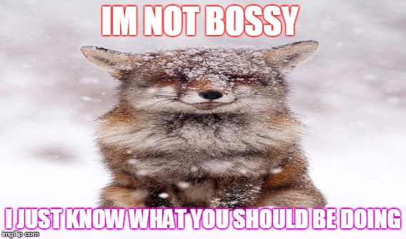 Not bossy Imgflip