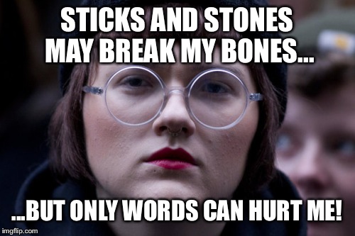 Image tagged in sjw Imgflip