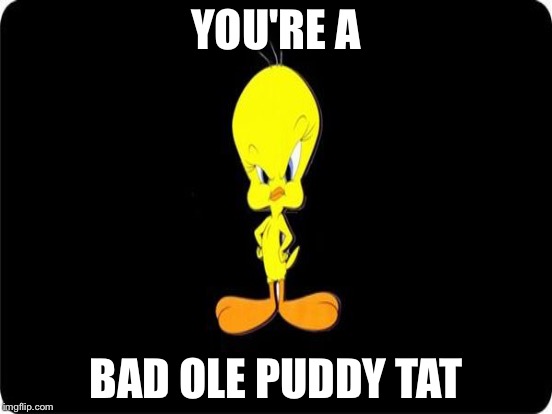 Bad Pun Cat Imgflip