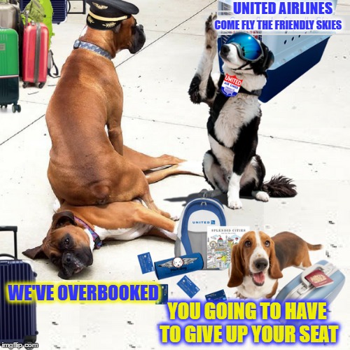 Come fly the friendly skies with United Airlines. Going to dog week