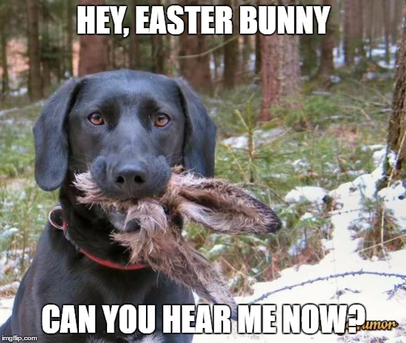 Image tagged in easter dead rabbit funny easter Imgflip
