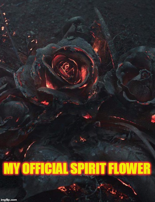 Why Aren't Spirit Flowers a Thing Here's Mine Imgflip