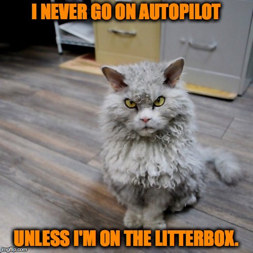 Autopilot Meme Funny Memes