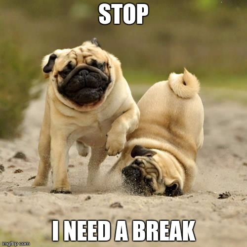 RUN! pugs Imgflip