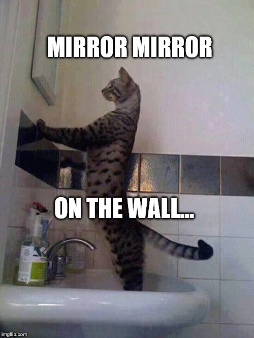 Mirror Mirror Imgflip