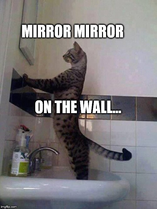 MIRROR MIRROR Imgflip