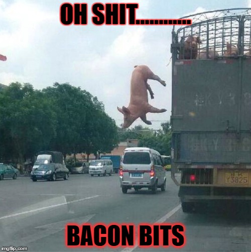 BACON Imgflip