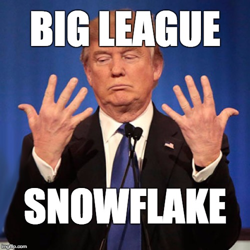 The republican president is a bigleague snowflake. Imgflip