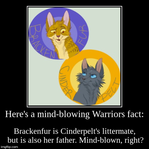 Here's a mindblowing Warriors fact Imgflip