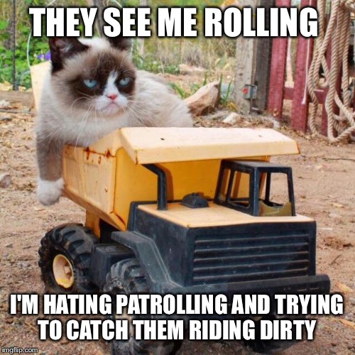 grumpy cat rolling Imgflip