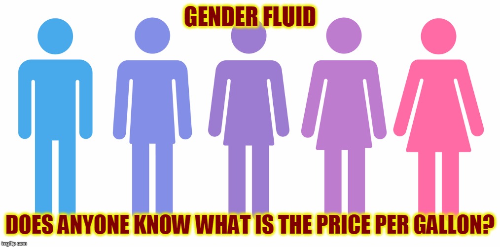gender fluid Imgflip