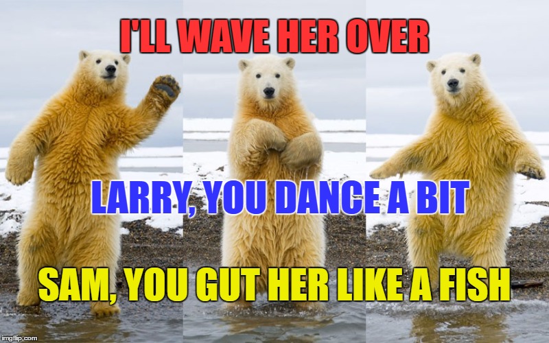 Don't Trust Polar Bears Imgflip