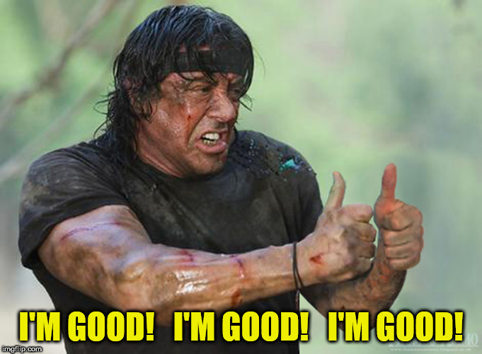 I wanted to make him climb on the roof and adjust the antennae but