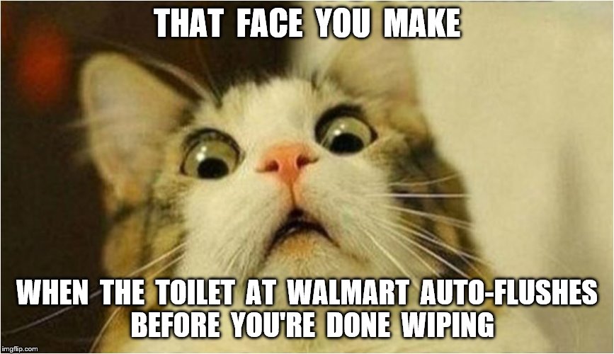 Walmart auto flush toilets Imgflip