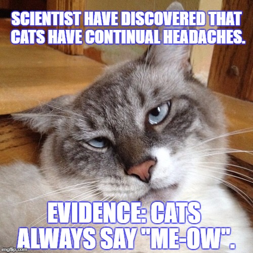 Image tagged in meow Imgflip