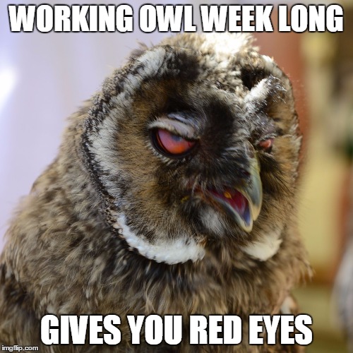 Image tagged in grumpy owl Imgflip