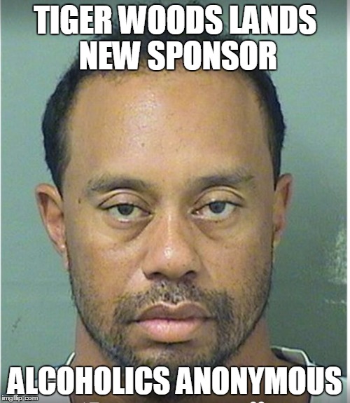 tiger sponsor Imgflip