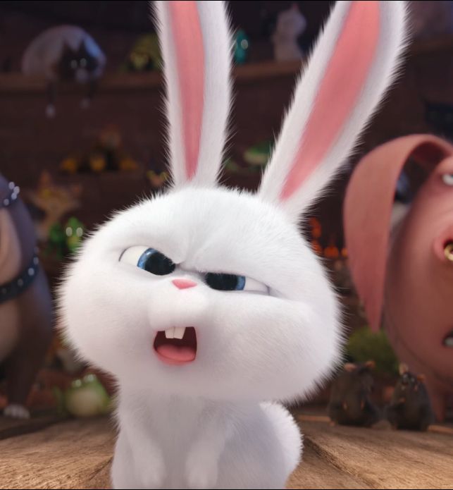 "rabbit" Meme Templates Imgflip