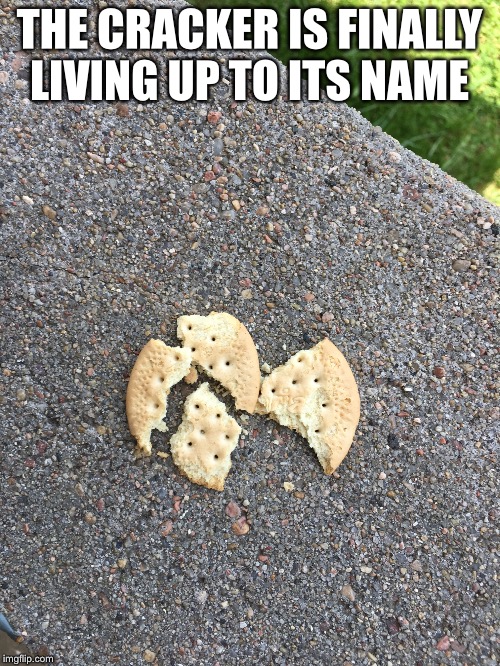 Cracked Cracker Imgflip