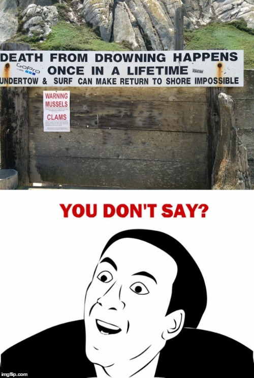 you don't say Imgflip