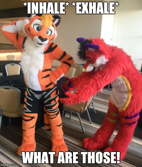 Image tagged in memes Imgflip