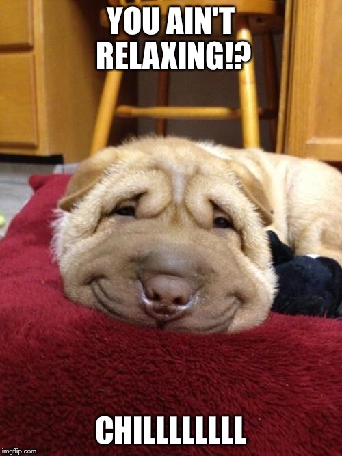 Image tagged in sad happy dog Imgflip