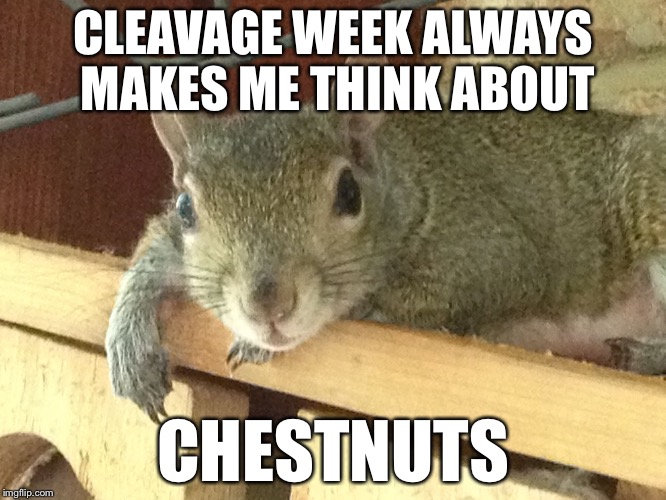Squirrel Philosopher Imgflip