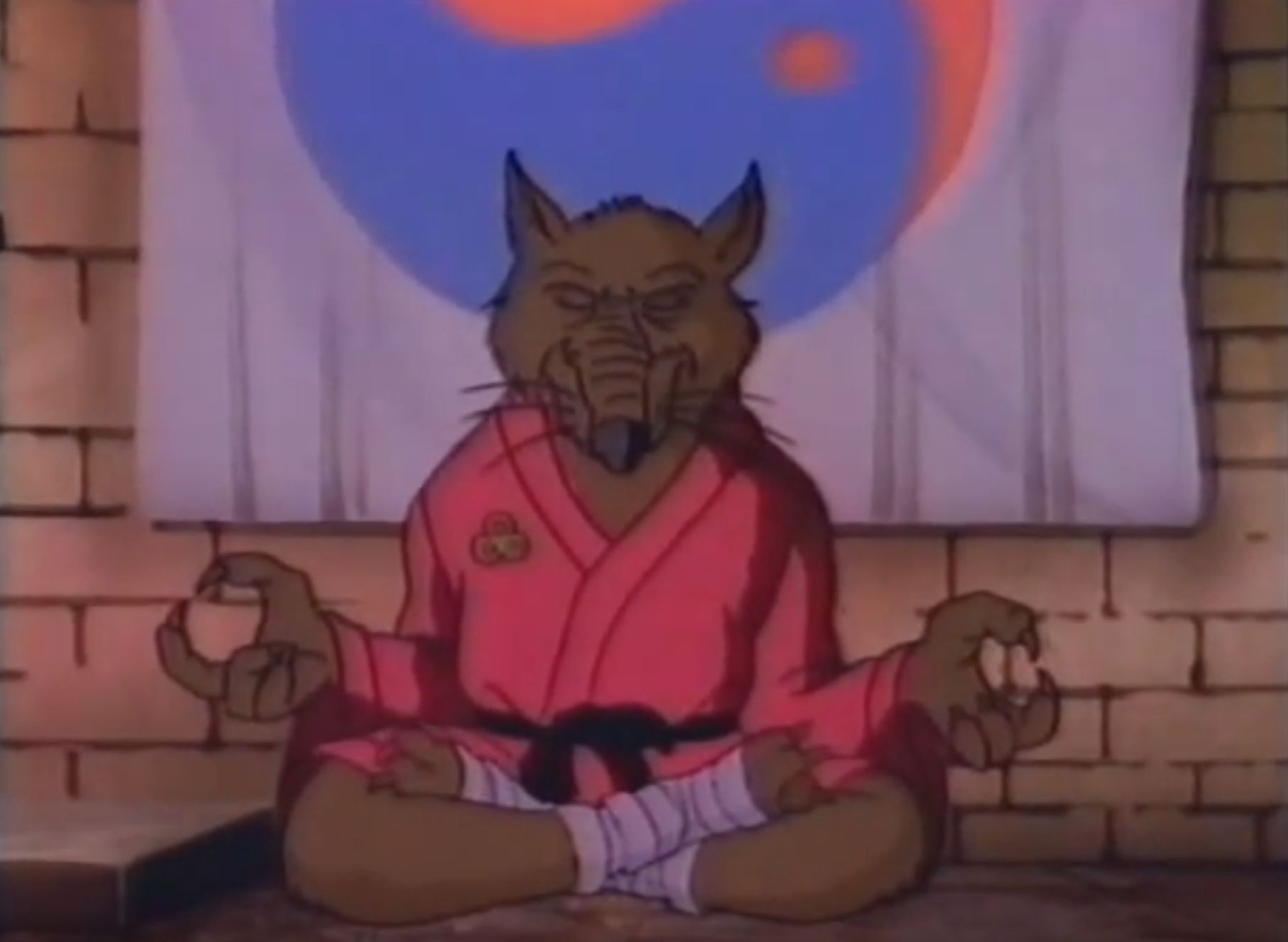 Splinter (Teenage Mutant Ninja Turtles) Blank Template