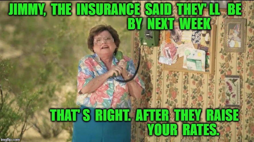 State Farm old lady on the phone Imgflip