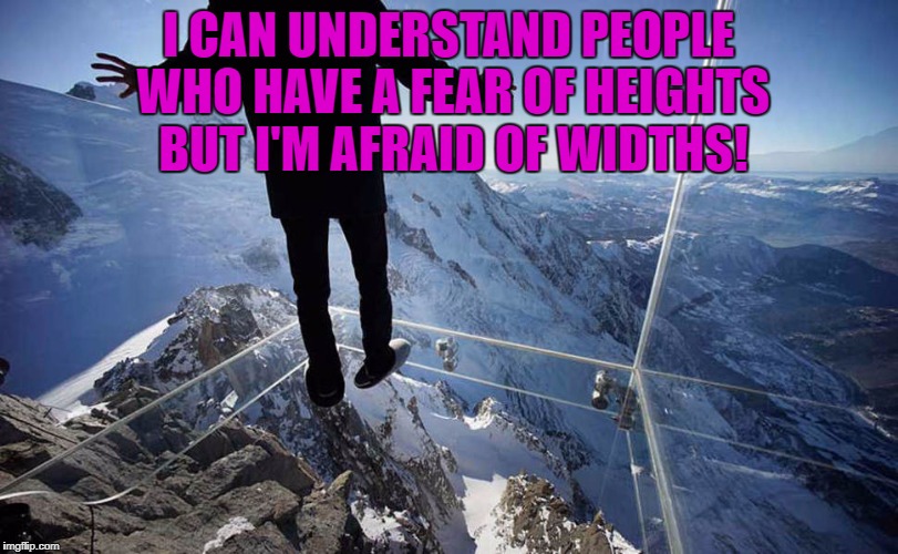Image tagged in heights,fear of heights,funny,funny memes,humor,widths