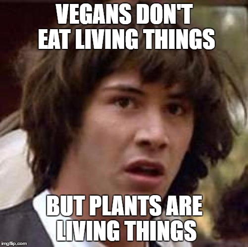 Conspiracy Keanu Meme Imgflip
