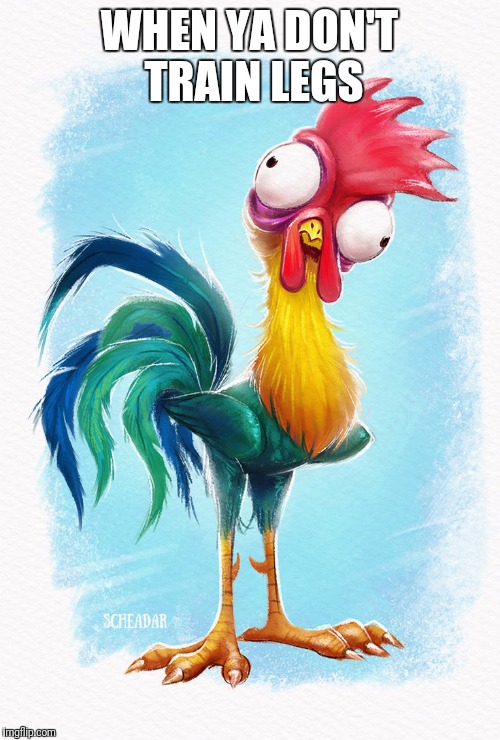 Moana Chicken Imgflip
