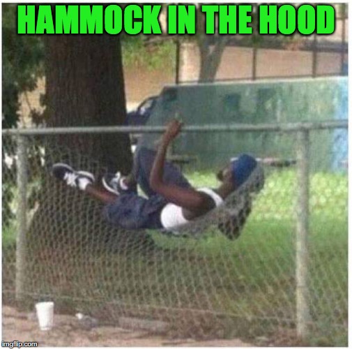 in the hood Memes & GIFs Imgflip