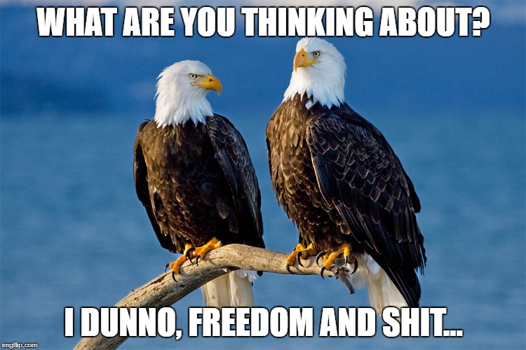 Freedom Imgflip