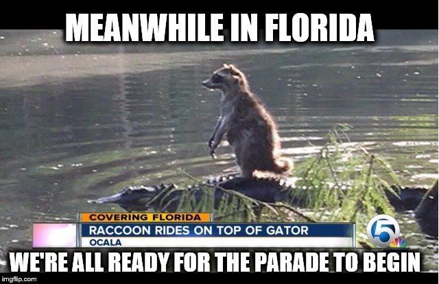 Meanwhile in Florida 2 Imgflip