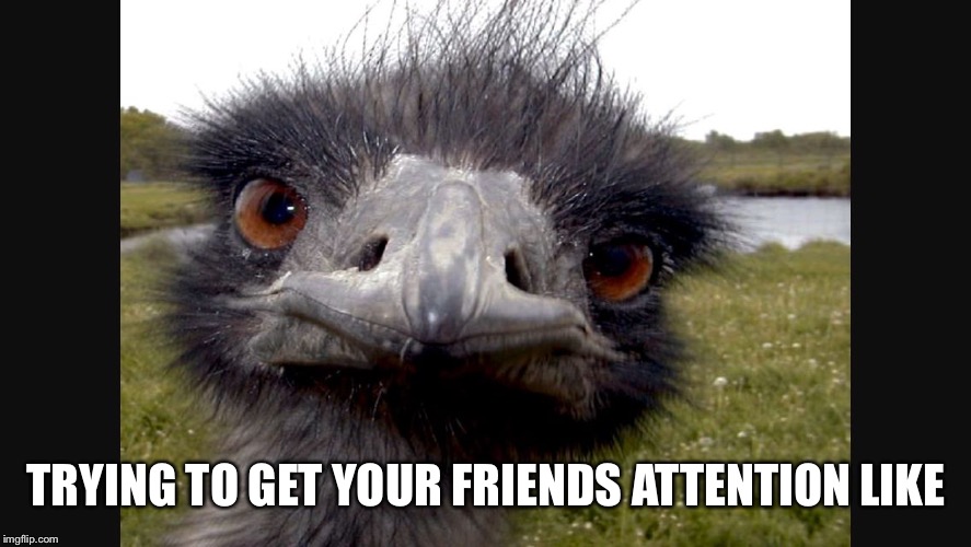 Attention is scarce Imgflip