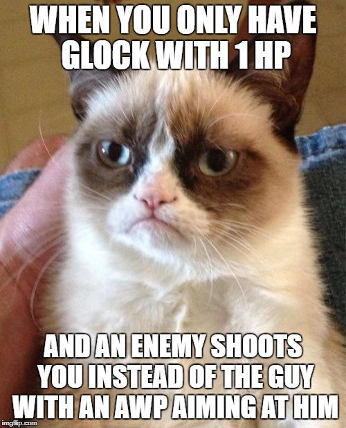 Grumpy Cat Meme Imgflip