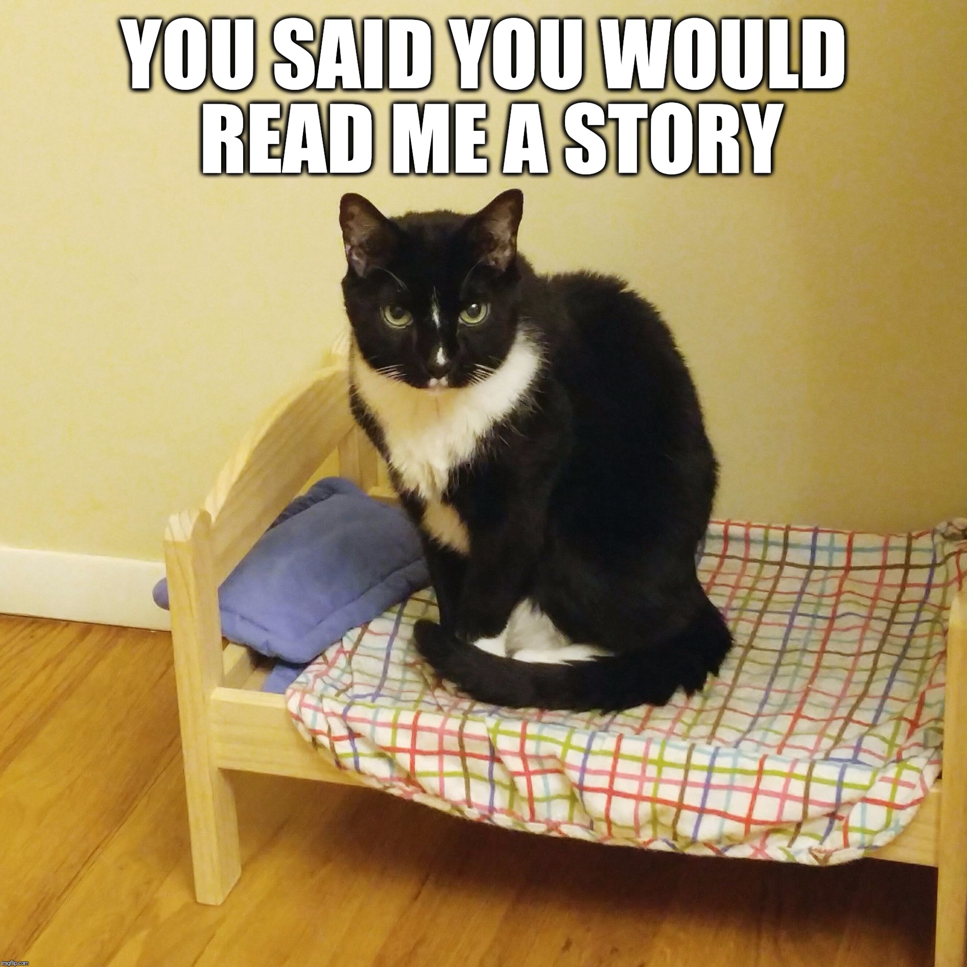 You said you would read me a story Imgflip